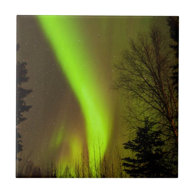 Carreau États-Unis, Alaska, Chena Hot Springs. Vue d'Auror (Devant)