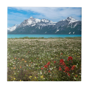 Carreau États-Unis, Alaska, Glacier Bay National Park 2