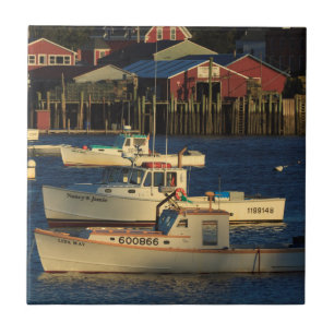 Carreau États-Unis, Amérique du Nord, Maine, Bernard, Pêch