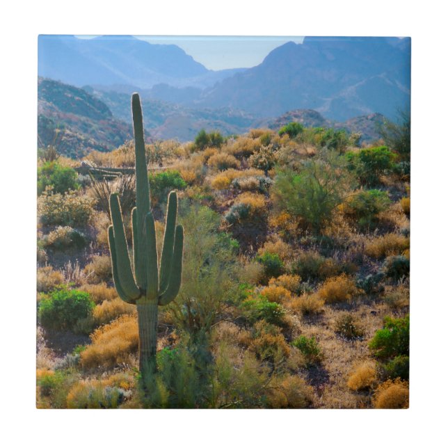 Carreau États-Unis, Arizona. Desert View (Devant)
