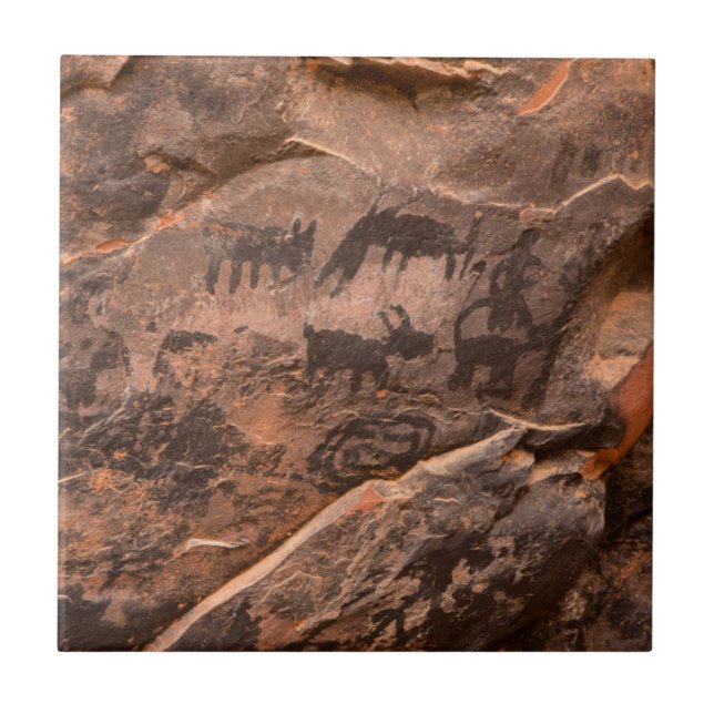 Carreau États-Unis, Arizona, forêt nationale de Coconino,  (Devant)