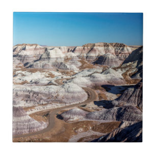 Carreau États-Unis, Arizona, Parc national de la forêt pét