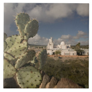 Carreau États-Unis, Arizona, Tucson : Mission San Xavier d