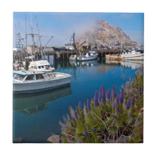 Carreau États-Unis, Californie. Bateaux amarrés à Morro Ba