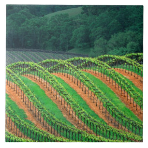 Carreau États-Unis, Californie, comté de Mendocino, un tre
