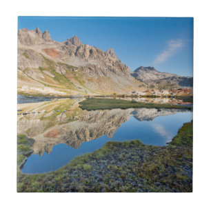 Carreau États-Unis, Californie, Forêt nationale d'Inyo 11