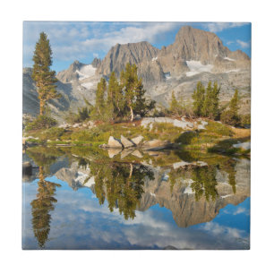 Carreau États-Unis, Californie, Forêt nationale d'Inyo 13
