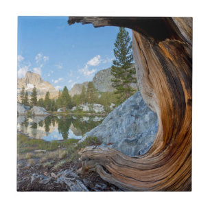 Carreau États-Unis, Californie, Forêt nationale d'Inyo. Vi
