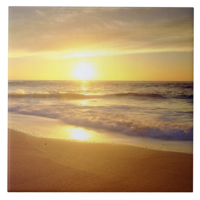 Carreau États-Unis, Californie, San Diego. La Jolla Shores (Devant)