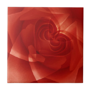 Carreau États-Unis, Colorado, Lafayette. Montage de rose r