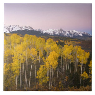 Carreau États-Unis, Colorado, Montagnes Rocheuses. Aube d
