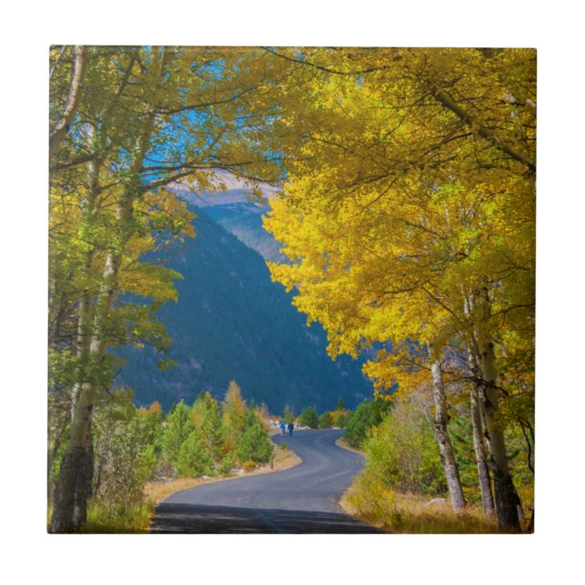 Carreau États-Unis, Colorado. Route flanquée de trembles (Devant)