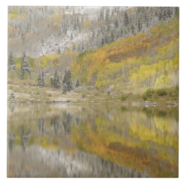 Carreau États-Unis, Colorado, White River National Forest, (Devant)