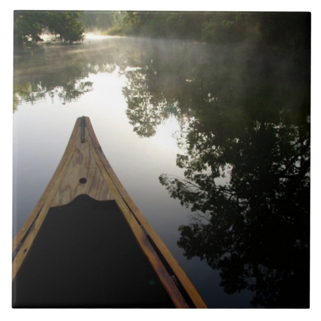 Carreau États-Unis, Floride, forêt nationale d'Ocala, Alex (Devant)