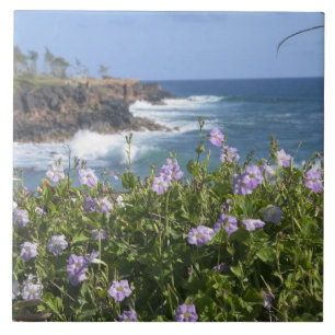Carreau États-Unis, Hawaï, Kauai, près de Kapaa, nord-oues