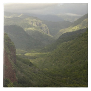 Carreau États-Unis, Hawaï, Kauai, Vue sur le canyon. (RF)