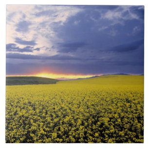 Carreau États-Unis, Idaho, vallée du Swan. Un coucher de