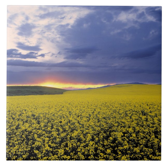 Carreau États-Unis, Idaho, vallée du Swan. Un coucher de s (Devant)