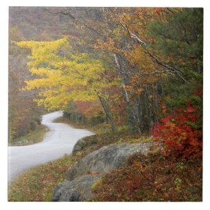 Carreau États-Unis, Maine, Camden. Route traversant Camden