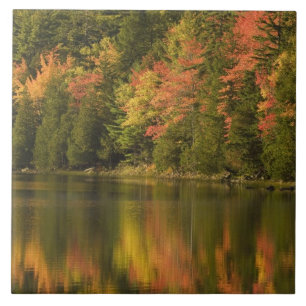 Carreau États-Unis; Maine; Parc national d'Acadia. Reflets