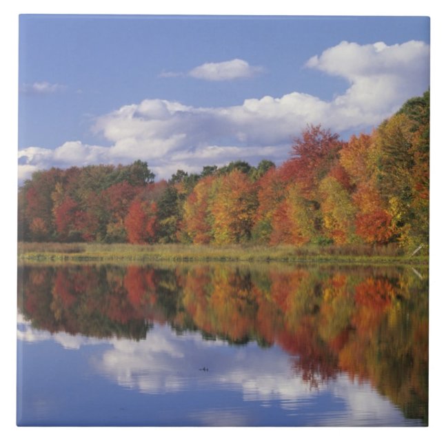 Carreau États-Unis, Massachusetts, Acton. Reflet de l'auto (Devant)