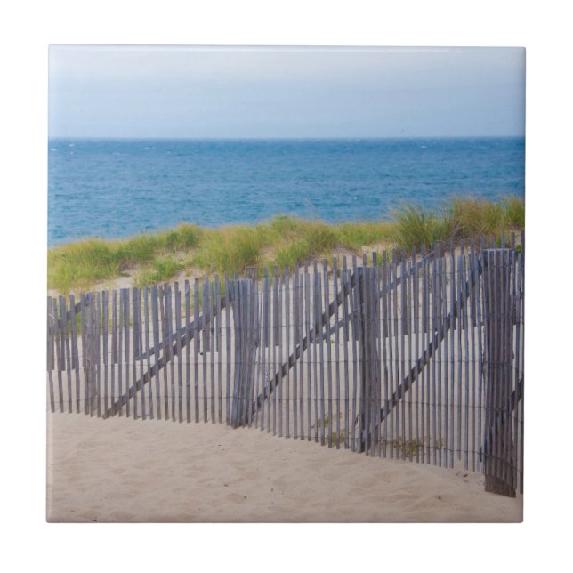 Carreau États-Unis, Massachusetts. Dunes et sentier (Devant)