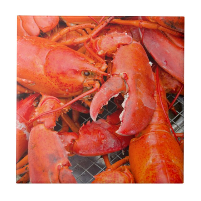 Carreau États-Unis, Massachusetts, Martha's Vineyard (Devant)