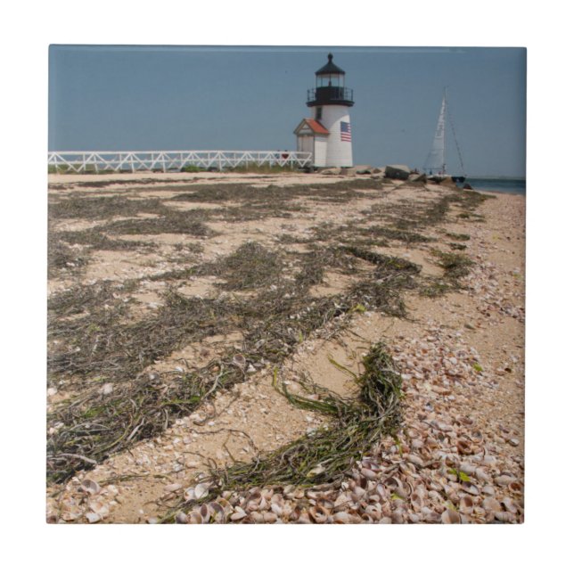 Carreau États-Unis, Massachusetts, Nantucket. Coquillage (Devant)