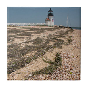 Carreau États-Unis, Massachusetts, Nantucket. Coquille