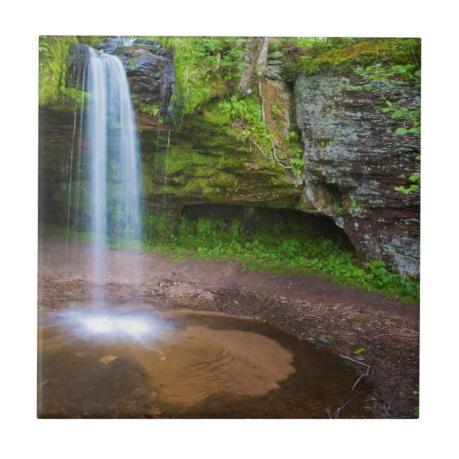 Carreau États-Unis, Michigan. Chutes de Scott dans le Mich (Devant)