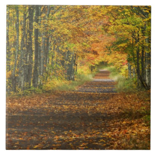 Carreau États-Unis, Michigan, Haute Péninsule. Rue à l'