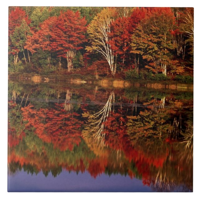 Carreau États-Unis, Michigan, Upper Peninsula. Automne (Devant)