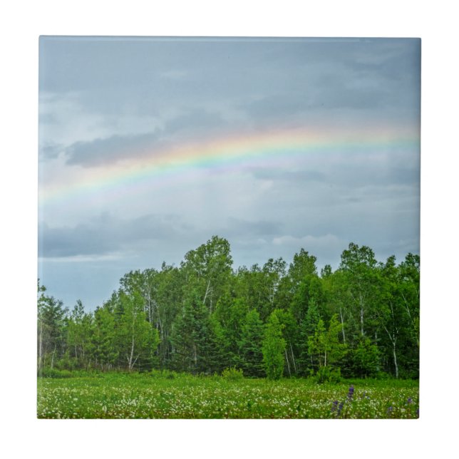 Carreau États-Unis, Minnesota. Prairie verte avec des fleu (Devant)