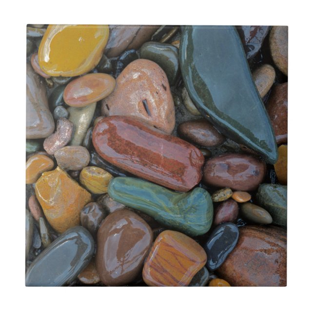 Carreau États-Unis, Montana, Clark Fork River, Stones (Devant)
