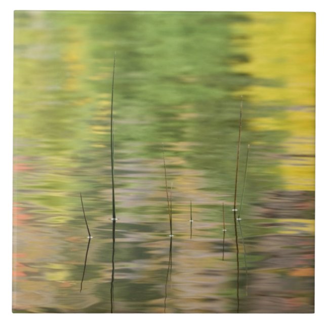Carreau États-Unis, New York, Adirondacks, reflets dans l' (Devant)