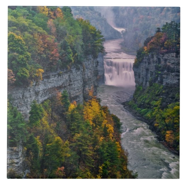 Carreau États-Unis, New York, Letchworth State Park. Riviè (Devant)