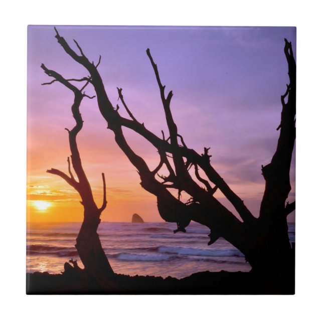 Carreau États-Unis, Oregon, Cape Meares. Coucher de soleil (Devant)