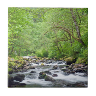 Carreau États-Unis, Oregon, Columbia River Gorge, Tanner 