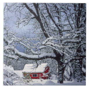 Carreau États-Unis, Oregon, comté de Clackamas. Neige fraî