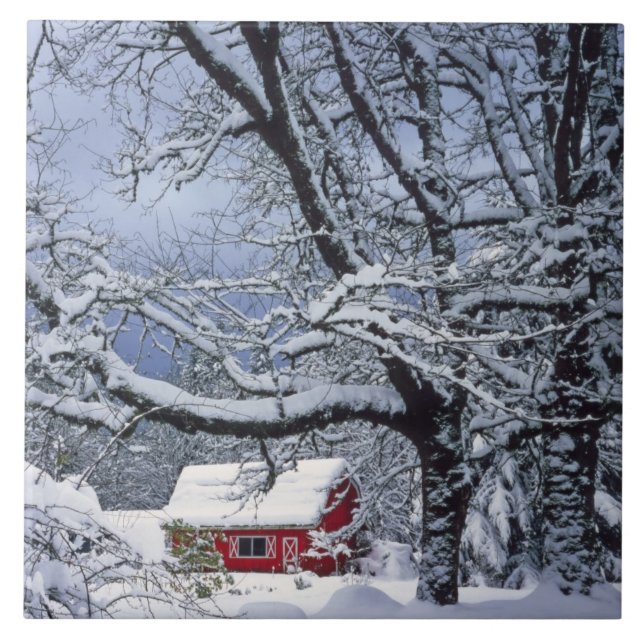 Carreau États-Unis, Oregon, comté de Clackamas. Neige fraî (Devant)