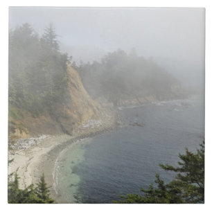 Carreau États-Unis, Oregon, Ocean View, Cape Arago, Bandon