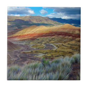 Carreau États-Unis, Oregon. Paysage des Painted Hills
