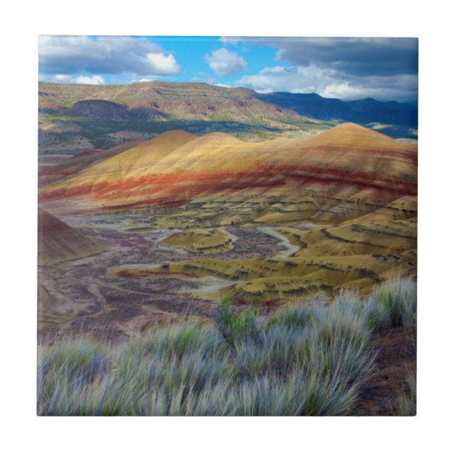 Carreau États-Unis, Oregon. Paysage des Painted Hills (Devant)