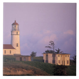 Carreau États-Unis, Oregon, région de Port Orford, cap Bla