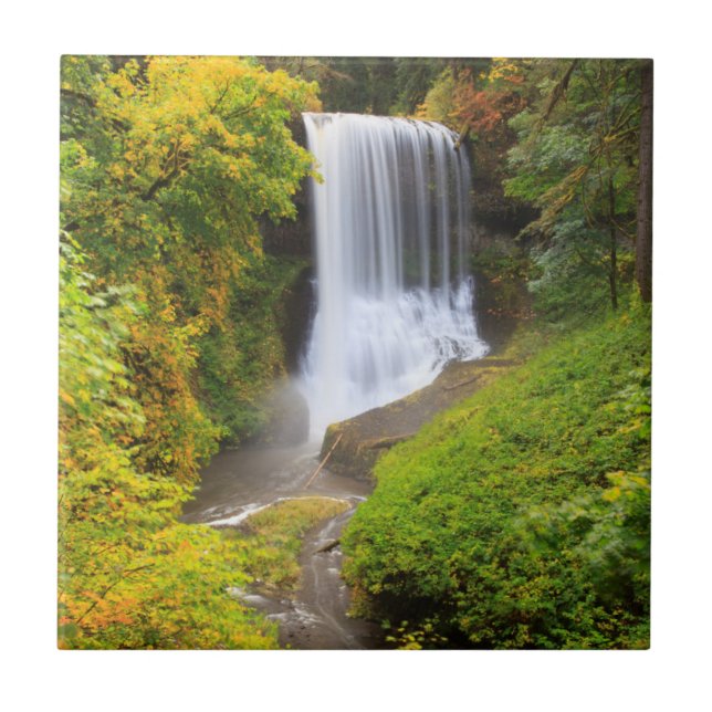Carreau États-Unis, Oregon, Silver Falls State Park 3 (Devant)