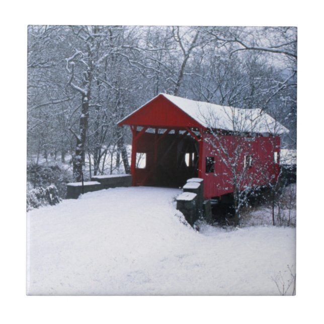 Carreau États-Unis, Pennsylvanie, comté de Mariana (Devant)