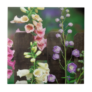 Carreau États-Unis, Pennsylvanie. Digitale et delphinium