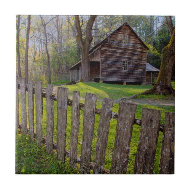 Carreau États-Unis, Tennessee, cabane à Cades Cove (Devant)