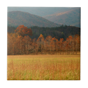 Carreau États-Unis, Tennessee. Cades Cove dans Smoky Mount