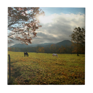 Carreau États-Unis, Tennessee. Chevaux dans la vallée de C